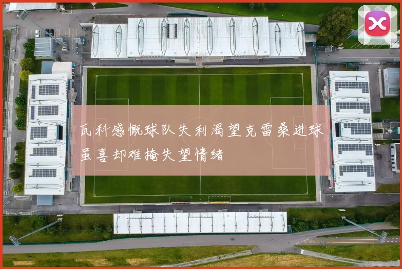 瓦科感慨球队失利渴望克雷桑进球虽喜却难掩失望情绪