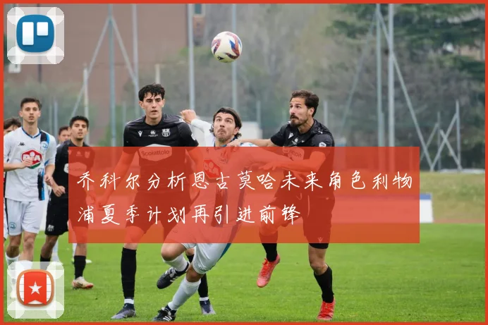 乔科尔分析恩古莫哈未来角色利物浦夏季计划再引进前锋