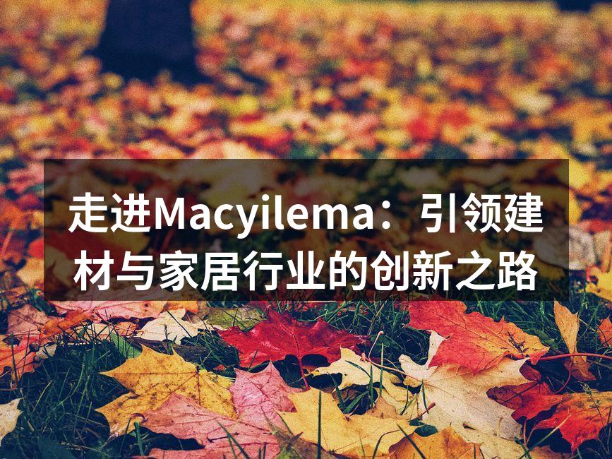 走进Macyilema：引领建材与家居行业的创新之路