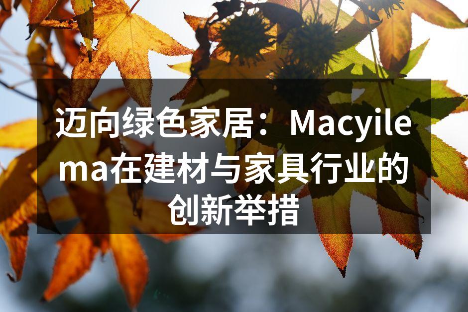 迈向绿色家居：Macyilema在建材与家具行业的创新举措